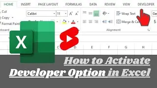 How To Add The Developer Tab To The Ribbon | Enable Developer Tab In Excel
