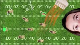 SuperLice Bowl 2019