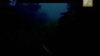 Pas - Malam Tetaplah Malam