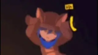 niko chain… 2?