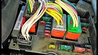 No sound signal Citroen