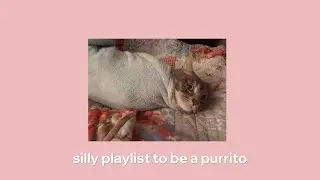 ᓚ₍ ^. .^₎ | silly playlist to be a purrito