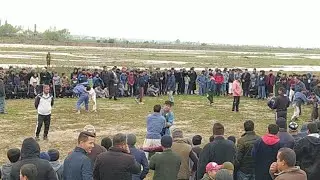 Гуштини Калон Дар Шахри Турсунзода Дехаи Бахтовар
