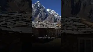 Высокогорные жители Непала #travel #mountains #природа