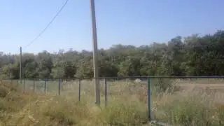Кулешовка_СДЮСШОР_9