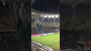 Coregrafii FCSB-Dinamo 2018