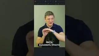 О целесообразности причуд