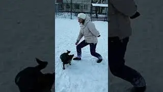 *сестра дрессирует руби*