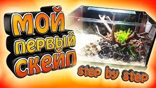Мой первый акваскейп. Step by step