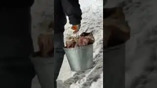 ИЗ ПОД НОСА УКРАЛ МЯСО