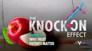 Why Fruit Patents Matter | The Knock-On Effect #24 | Real Vision™