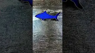 From Sand the Color of the Atlantic Ocean I Made a Shark
