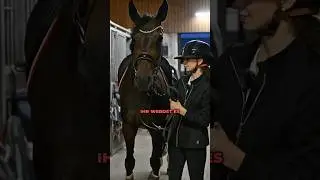 Duffys Verhalten voraussagen🐴 Haben eure Pferde auch solche Angewohnheiten?😂😊