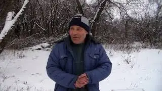 Карника. Вести с пасеки. Определился с основным направлением в селекции :)