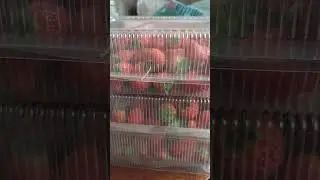 07.09.24 Сбор 14 кг