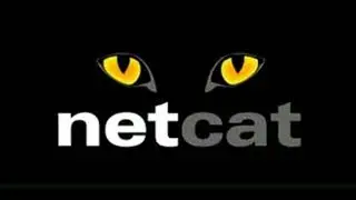اختبار أهم الأدوات في ترمكس ولينكس Netcat