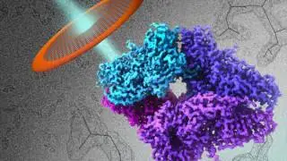 Live, Learn, Research: Next Generation Vaccine Development