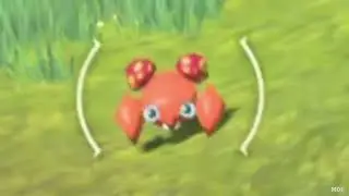 Paras has had enough