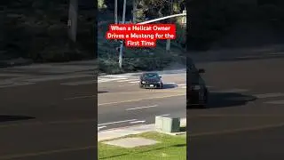 When a Hellcat Owner Drives a Mustang for the First Time! 