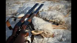 ЗАЯЦ В КОТЛЕ ИЛИ БРУКЛИНСКАЯ МЯСОРУБКА, ОХОТА НА ЗАЙЦА 2020, ПЯТНИЦА 13,НОВОЕ ВИДЕО В 4К, ЗАЯЦ ДОБЫТ