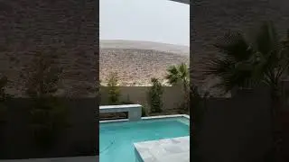 Las Vegas Magic Snow🪄