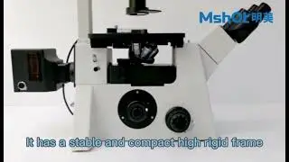 MF53-N inverted fluorescence microscope introduction