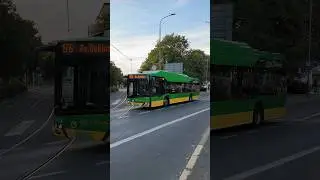 POZNAN | City bus 🚍 on Strzelecka street - 4K  #citybus
