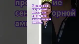 Мозг и мышцы.Связь.
