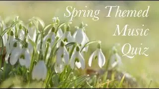 Spring Music Quiz! (Hard)