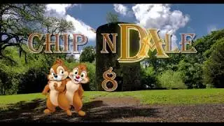 4K DUNGANNON SQUIRRELS, Part 8. Northern Ireland, February 22, 2019 (used GIANT option)