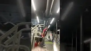 The 90lb weight vest is no joke!! 😮‍💨 #gym #onlinecoaching #fitness #bodybuilding