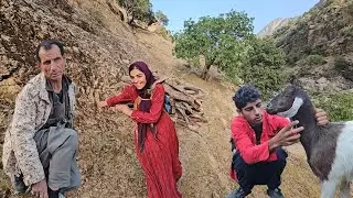 🔥 Nomadic Life in the Green Mountains 🌿 | Lost Goats & Fresh Butter