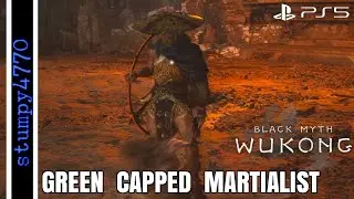 Black Myth: Wukong. Green-Capped Martialist Defeated.