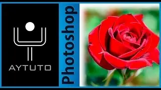 Difuminar borde de una imagen con PHOTOSHOP