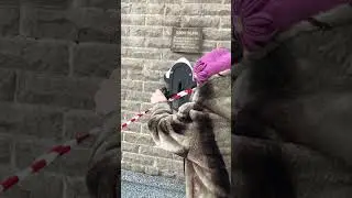 ключик помогает исполнить любые желания 