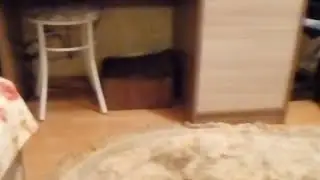 1 Стрим Ура