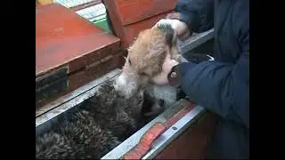 ХХ 01 2005   На притравке