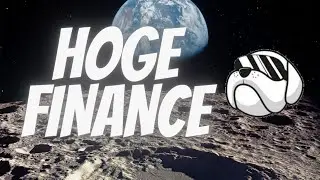 HOGE UPDATE