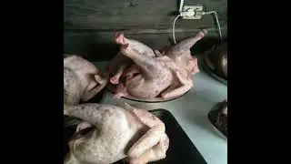 Лишние петухи идут в лапшу, 🐓🐔🐓👍🤗🙏