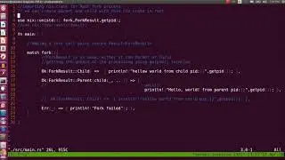 Fork system call in C  and Rust programming