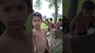chawal ki fasal lagane ki taiyari#villagevlog #villagelife #shortvideo