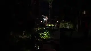 Танец живота на ужине ресторане в отеле Атлантис Дубай