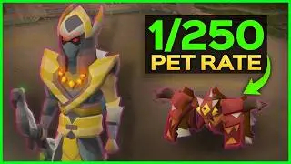 EASY Pets To Get in OSRS