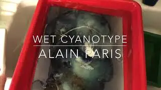 Wet cyanotype