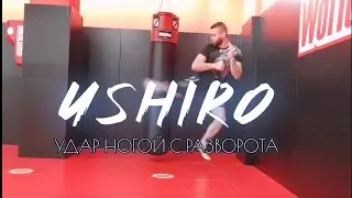 [разбор за 60 секунд] ВЕРТУШКА В ПЕЧЕНЬ. Удар ногой с разворота. Уширо.