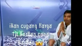 nunggu sahur kasih makan ikan dulu!! @sahobi007 #ngopi #chana #