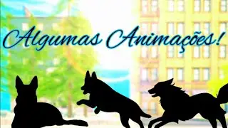 ❓Algumas animações de dog sim! -Dog Sim Online!🐾