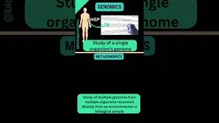 What is Genomics and Metagenomics?