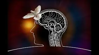 Воля Божия и человеческие усилия