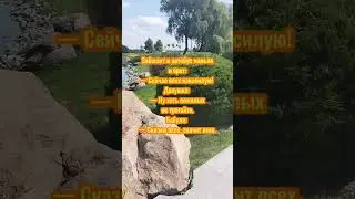 бородатый анекдот 